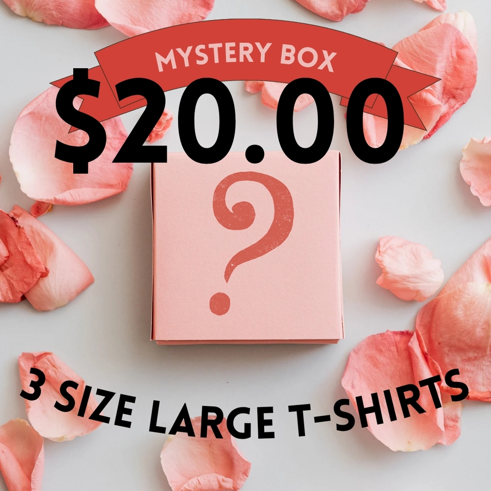 Mystery Box with 3 Large T-Shirts